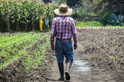 union nacional de trabajadores agricolas demanda politicas para abordar la