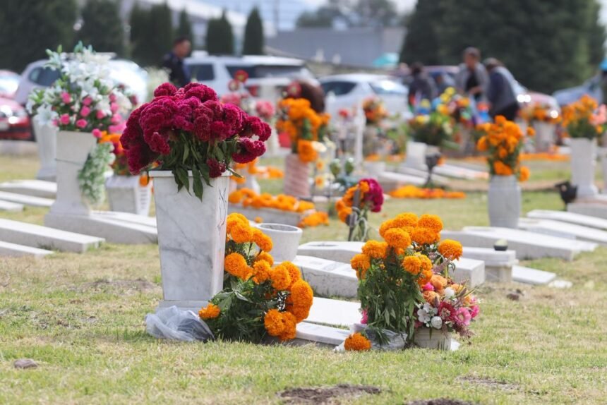 ventas de cempasuchil disminuyen por el aumento de precios en