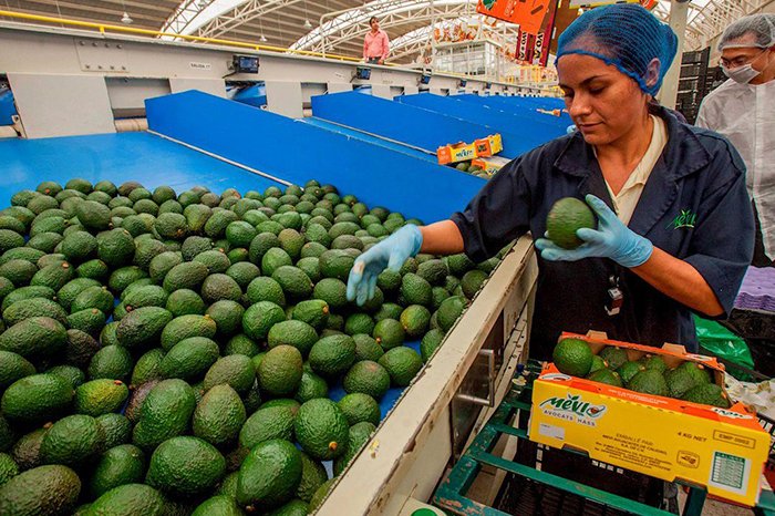 agroindustriales proponen sistema innovador para granos y solicitan continuar el