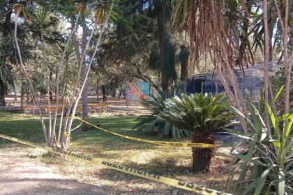 alcaldesa gutierrez analiza posibles irregularidades en la crisis del zoo