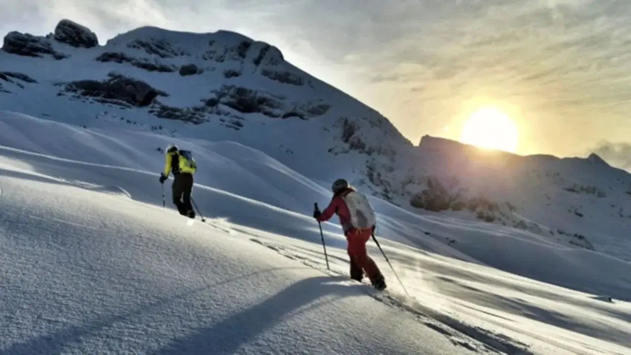 Alud en la nieve deja tres esquiadores muertos y uno con hipotermia