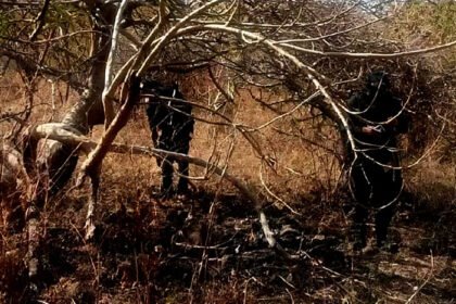 Autoridades localizan restos humanos semienterrados en fosa de Jacona, Michoacán