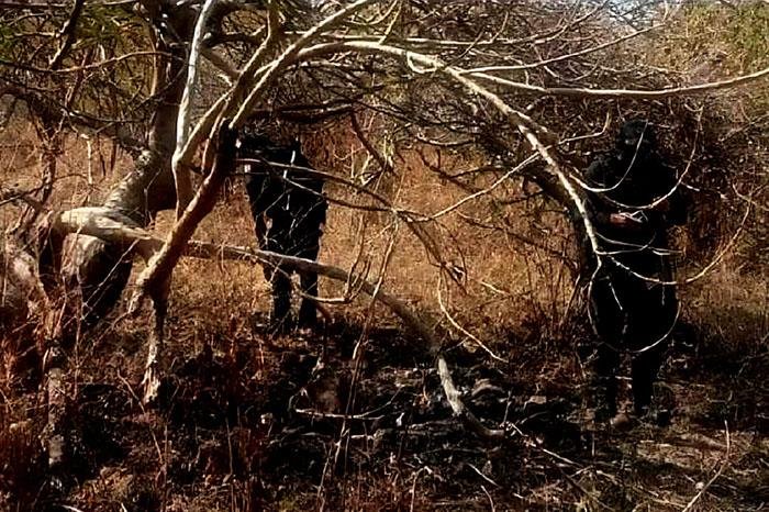 Autoridades localizan restos humanos semienterrados en fosa de Jacona, Michoacán