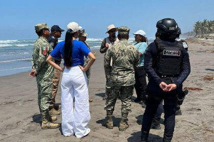 Autoridades refuerzan vigilancia de tortugas en la costa de Lázaro Cárdenas, Michoacán