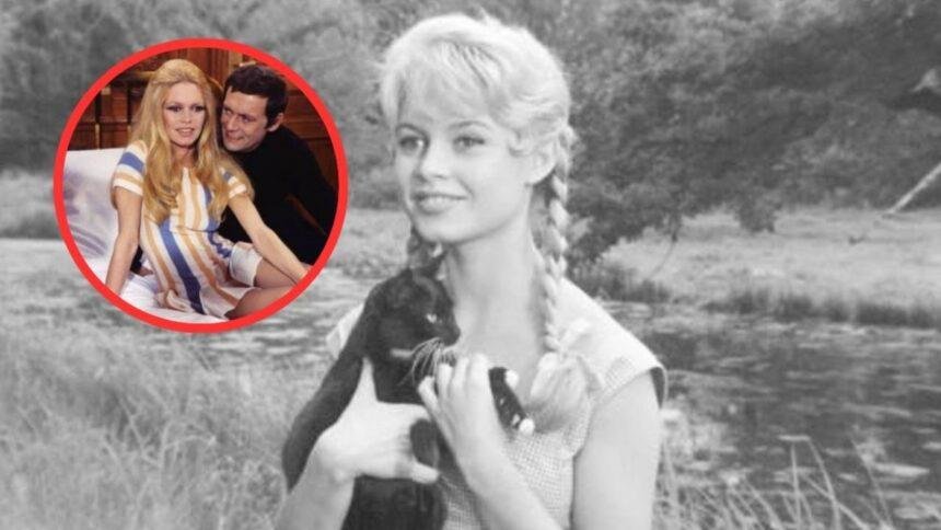 Brigitte Bardot: de actriz a defensora de los derechos animales