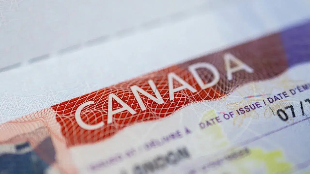 Canadá suspende programa que ubicaba refugiados calificados en vacantes laborales