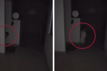 Captan en cámara a supuesta entidad con forma de bebé