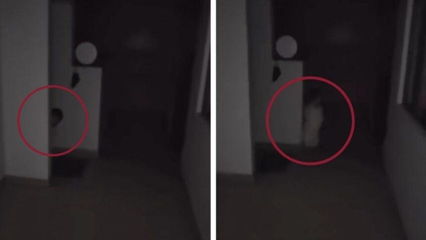 Captan en cámara a supuesta entidad con forma de bebé