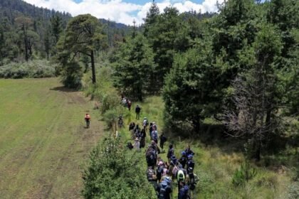 cidh solicita aumentar esfuerzos para localizar a ana ameli desaparecida