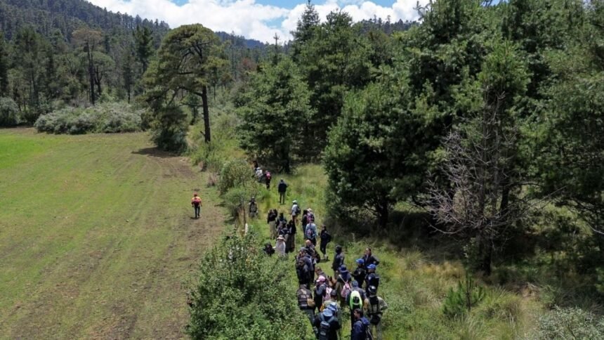 cidh solicita aumentar esfuerzos para localizar a ana ameli desaparecida