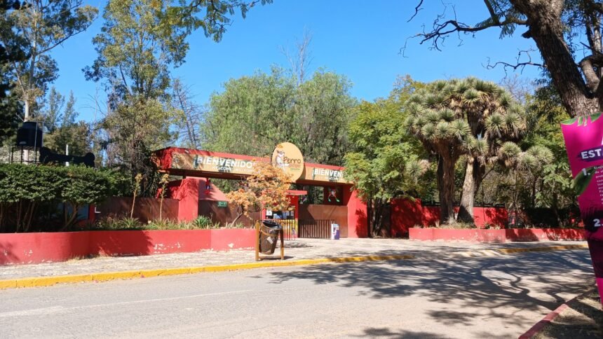 cierre del zoologico de leon por obras de seguridad y