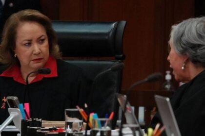 corte rechaza iniciativa de yasmin esquivel que limitaba amparos de