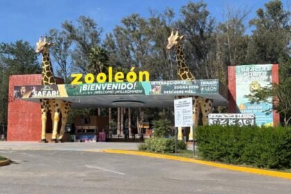 crisis en el zoologico de leon por problemas de infraestructura