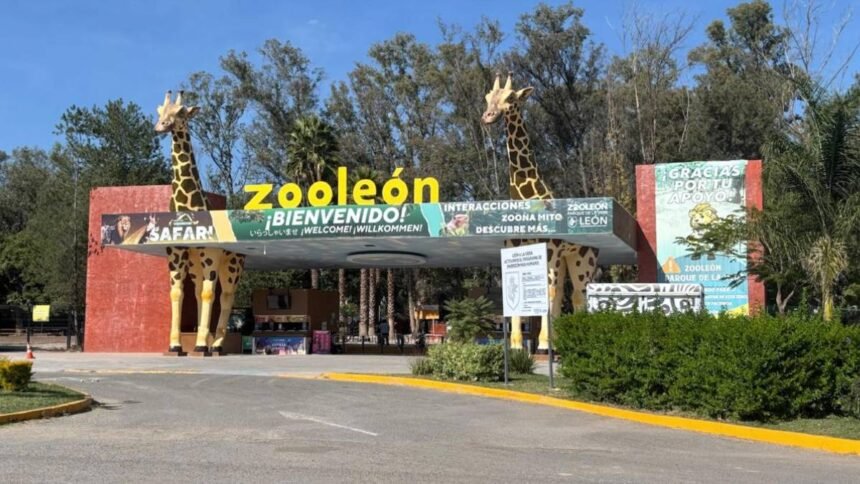 crisis en el zoologico de leon por problemas de infraestructura