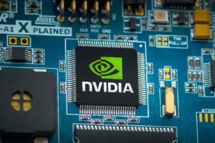 detencion de dos individuos en ee uu por contrabando de