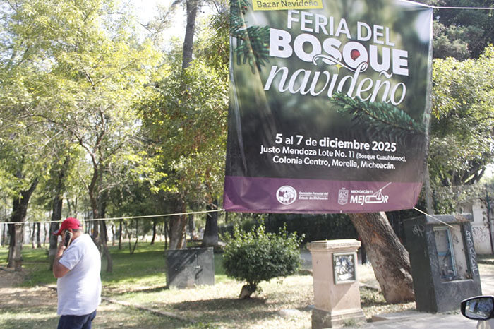 feria del bosque navideno 2025 presenta mas de 100 productos