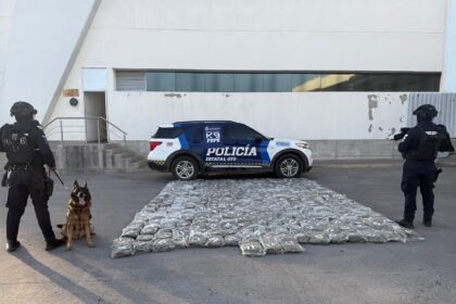 frustra oficial canino de la secretaria de seguridad y paz