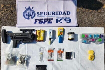 frustran envio de drogas por paqueteria en leon y salamanca