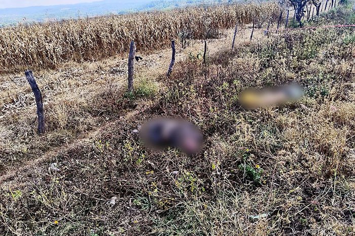 homicidas abandonan dos cuerpos en paso del molino tangamandapio