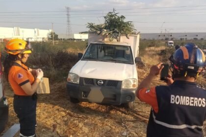 jardinero fallece y dos personas resultan heridas por descarga electrica