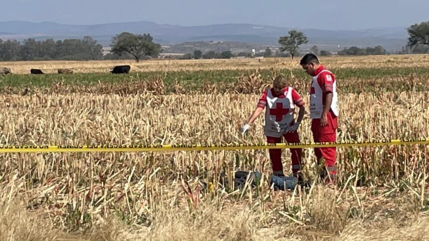 joven es hallado sin vida con lesiones de arma blanca