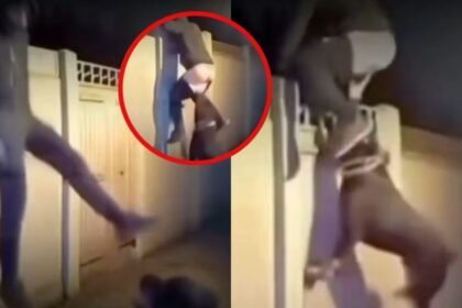 Ladrón es sorprendido por perro guardián y huye sin pantalones en su intento de escapar