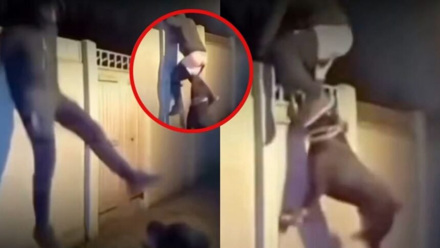 Ladrón es sorprendido por perro guardián y huye sin pantalones en su intento de escapar