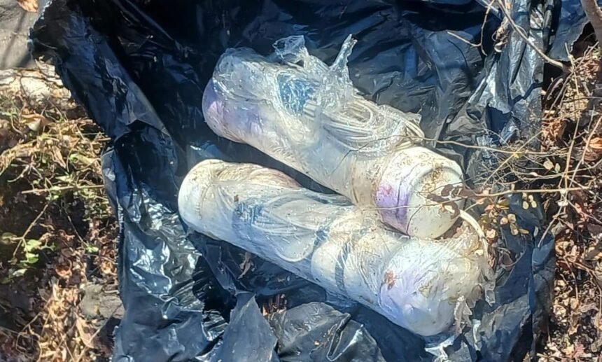 localizan y desactivan artefactos explosivos en la comunidad de buenavista