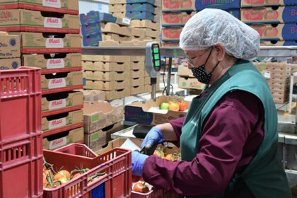 Michoacán supera meta de 500 mil empleos formales en 2025: Sedeco