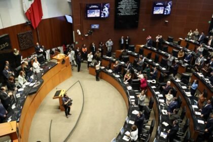 senado aprueba reforma para actualizar el tipo penal de abuso
