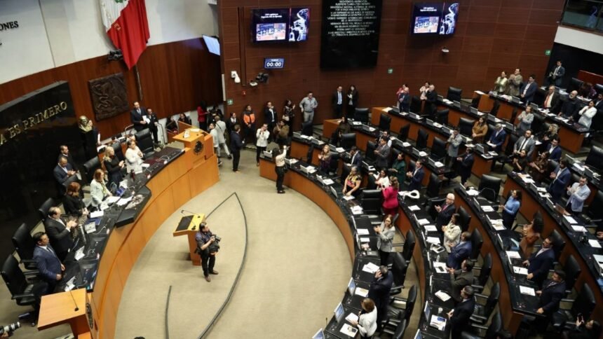 senado aprueba reforma para actualizar el tipo penal de abuso