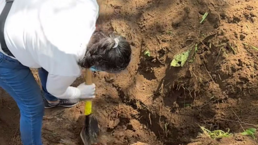 senadora del pt propone reconocer a buscadoras como actores fundamentales