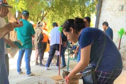 ssg lanza campana de esterilizacion gratuita para perros y gatos