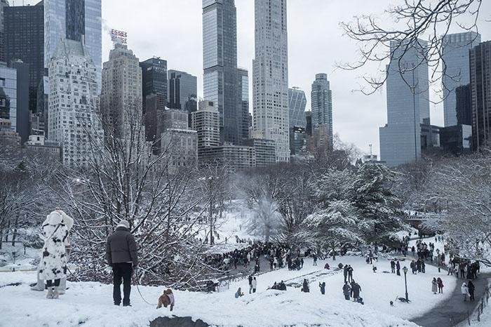Tormentas invernales provocan miles de cancelaciones de vuelos en Estados Unidos