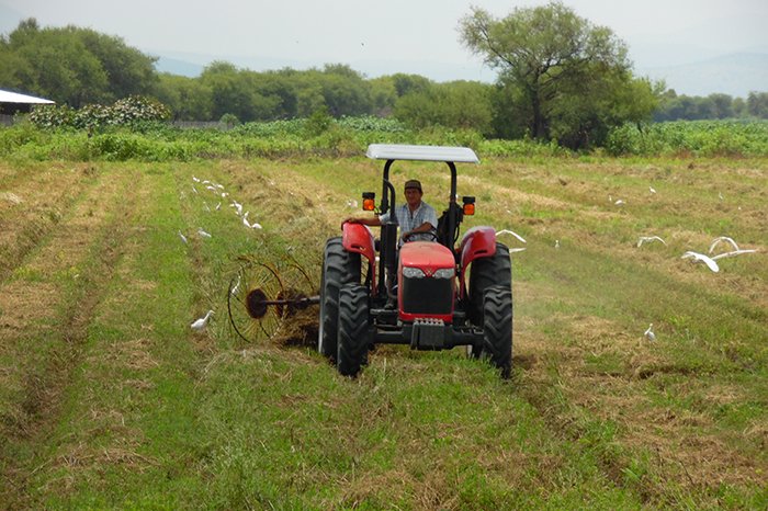 trump propone un rescate de 12 mil millones de dolares