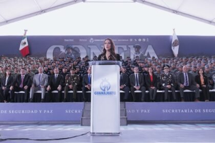 whatsapp image 2025 12 08 at 173521