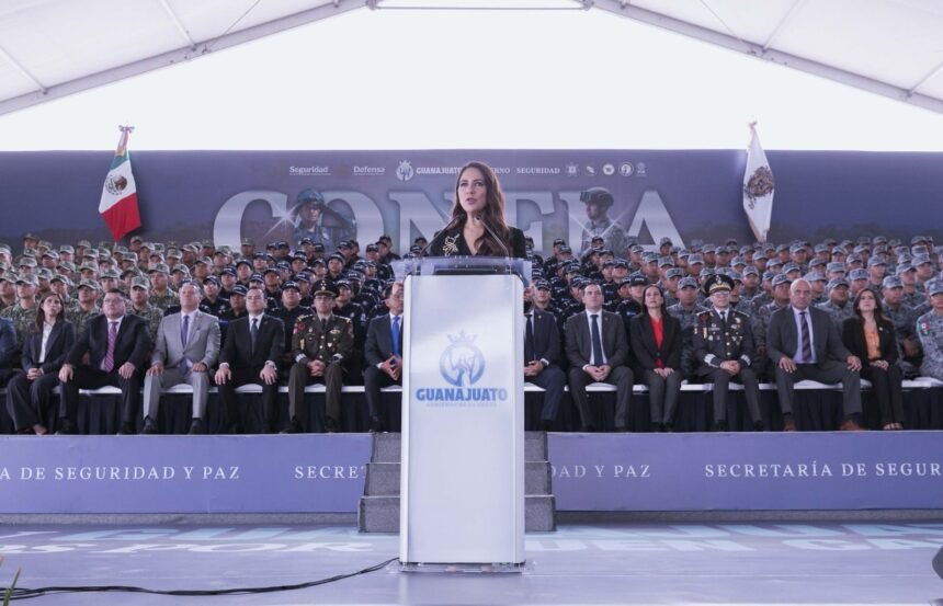 whatsapp image 2025 12 08 at 173521