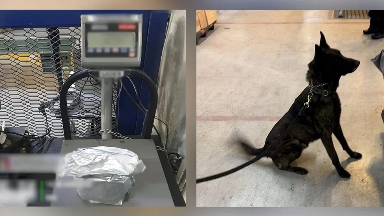 AICM, Ciudad de México: decomisan fentanilo valuado en más de 300 mdp