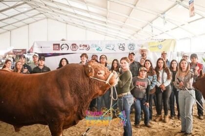 Autoridades municipales limitan a 6,240 visitantes diarios la Expo Ganadera
