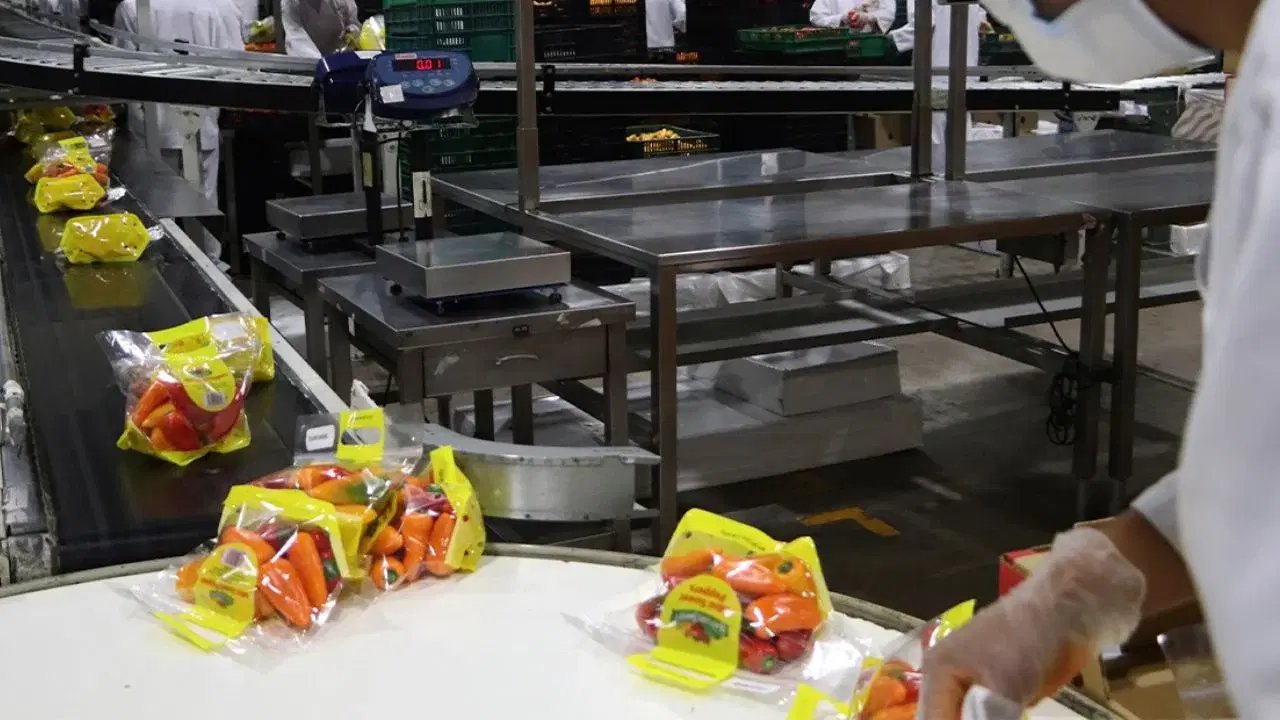 Ciudad de México: en 2025 México certificó más de 2,000 alimentos orgánicos