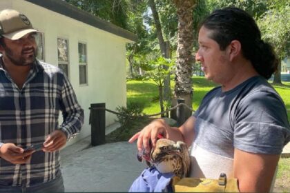 Designan a Jesús Alejandro Román Salazar como director del Zoológico de León