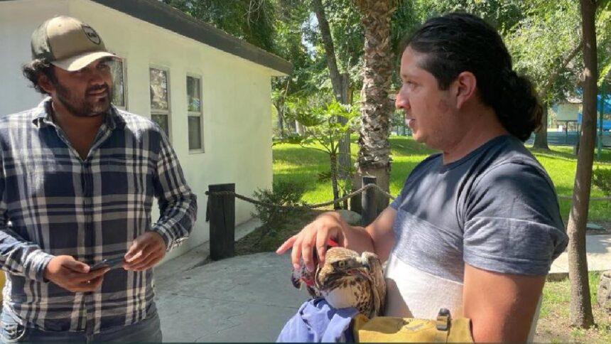 Designan a Jesús Alejandro Román Salazar como director del Zoológico de León