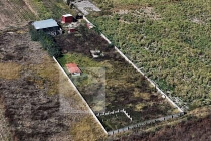 Fiscalía revela detalles sobre canibalismo y fugas de testigos en rancho Izaguirre