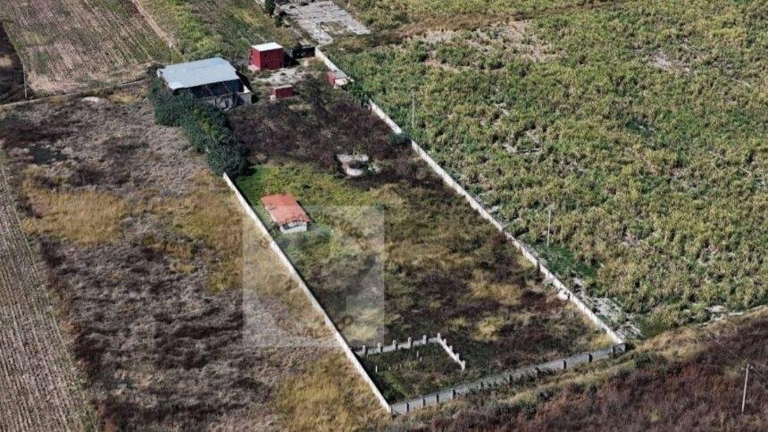 Fiscalía revela detalles sobre canibalismo y fugas de testigos en rancho Izaguirre