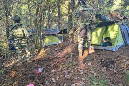 Fuerzas federales detienen a nueve y desmantelan tres campamentos en Michoacán