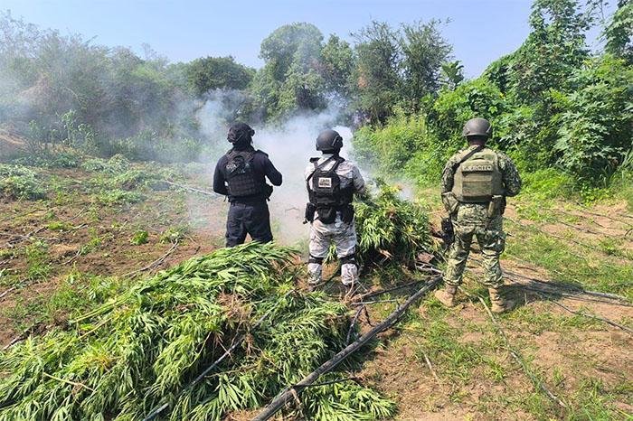 Guardia Civil incautó más de ocho toneladas de droga en España