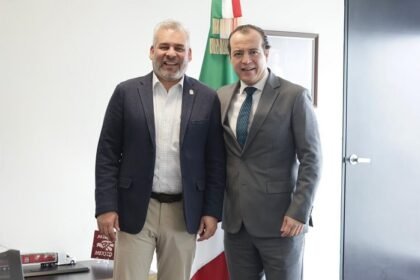 Guardian forestal y ProForest Avocado facilitarán negociación del T-MEC