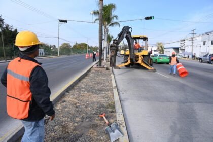 Inician trabajos de paisajismo en salida a Salamanca, Guanajuato