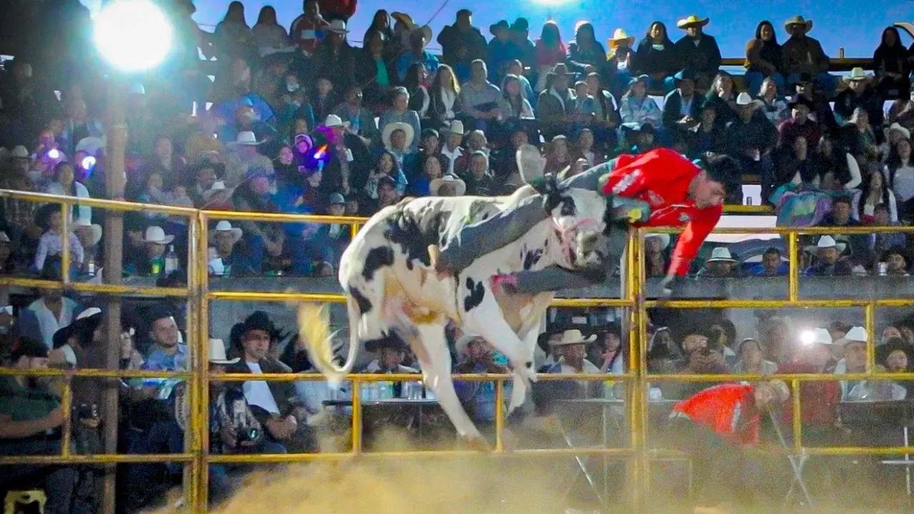 Jinete gravemente herido tras quedar atorado en toro en Puebla