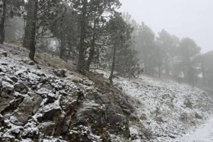 Nieve cubre zonas altas del municipio de Galeana, Nuevo León